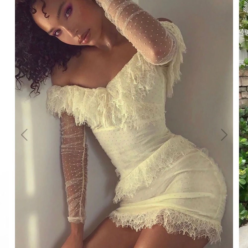 Mesh with live mini dress